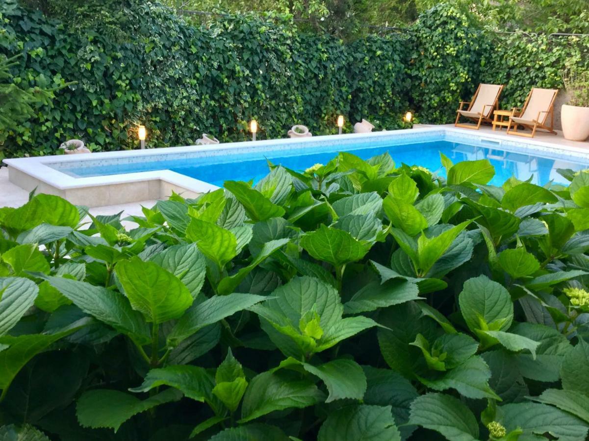 Apartments Pean Tivat Zewnętrze zdjęcie